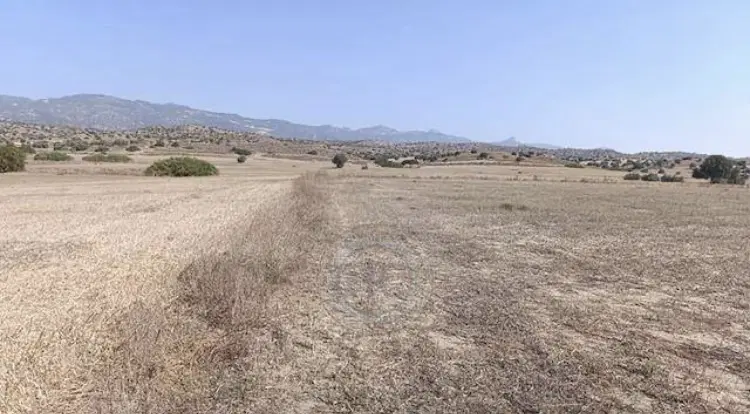 زمین مسکونی