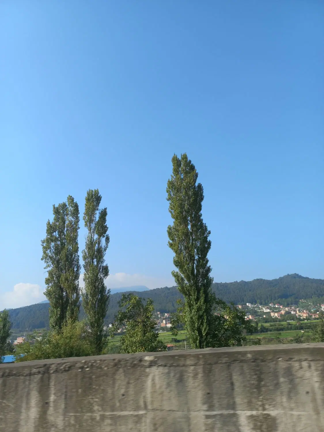 زمین مسکونی