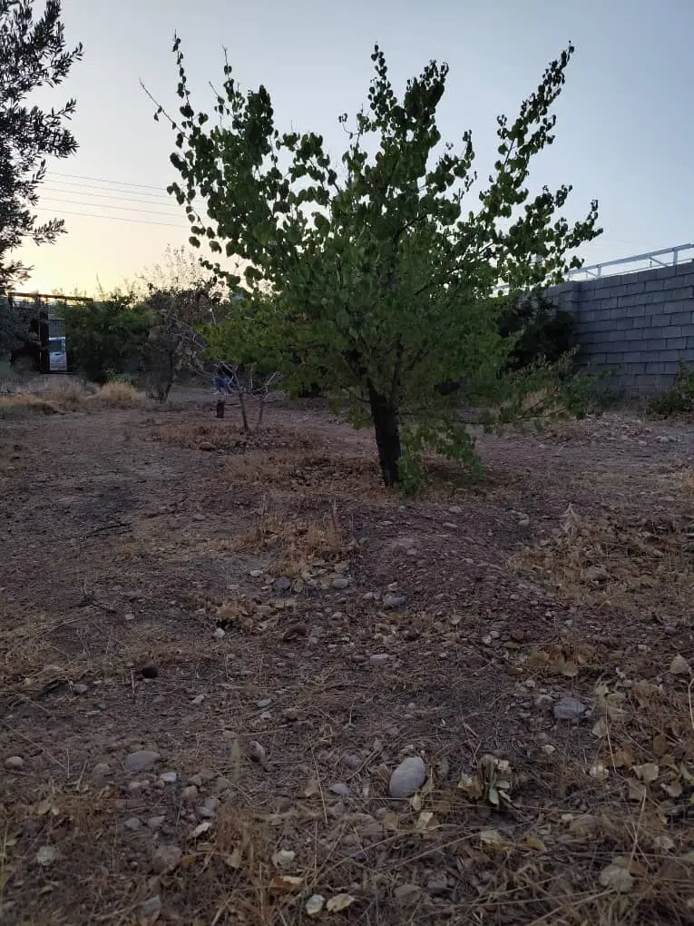 فروش زمین ۵۰۰ متری دوکوهک شیراز (مجتمع بهارستان )