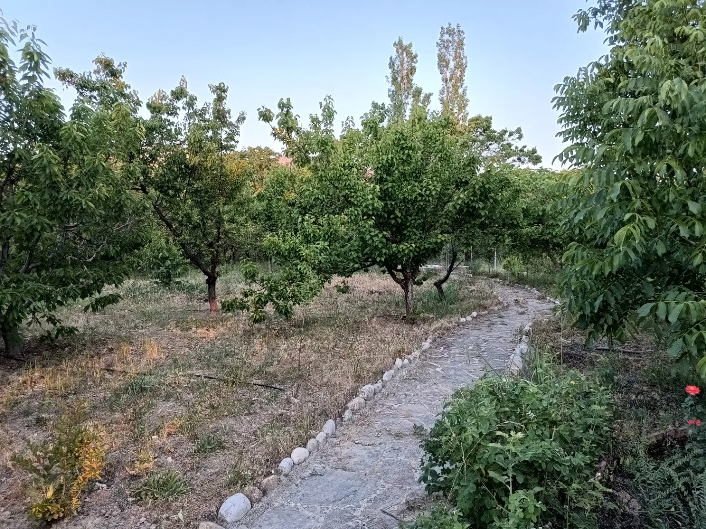 باغ باباریز ۱۱۰۰ متر