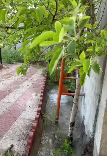 باغچه در رباط کریم
