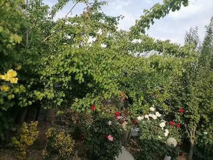 فروش خانه باغ