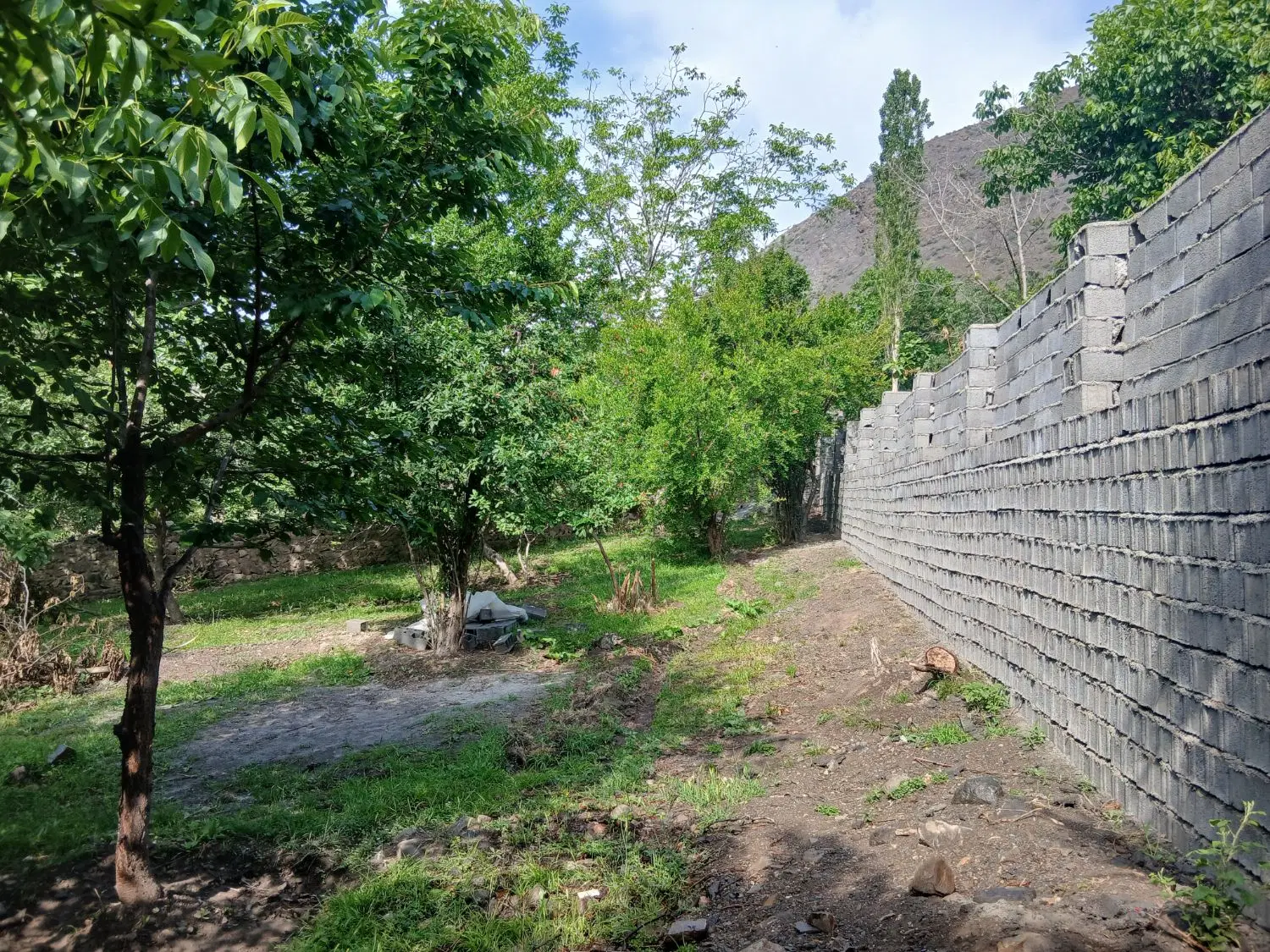 فروش زمین 850 متری در لاریجان آمل