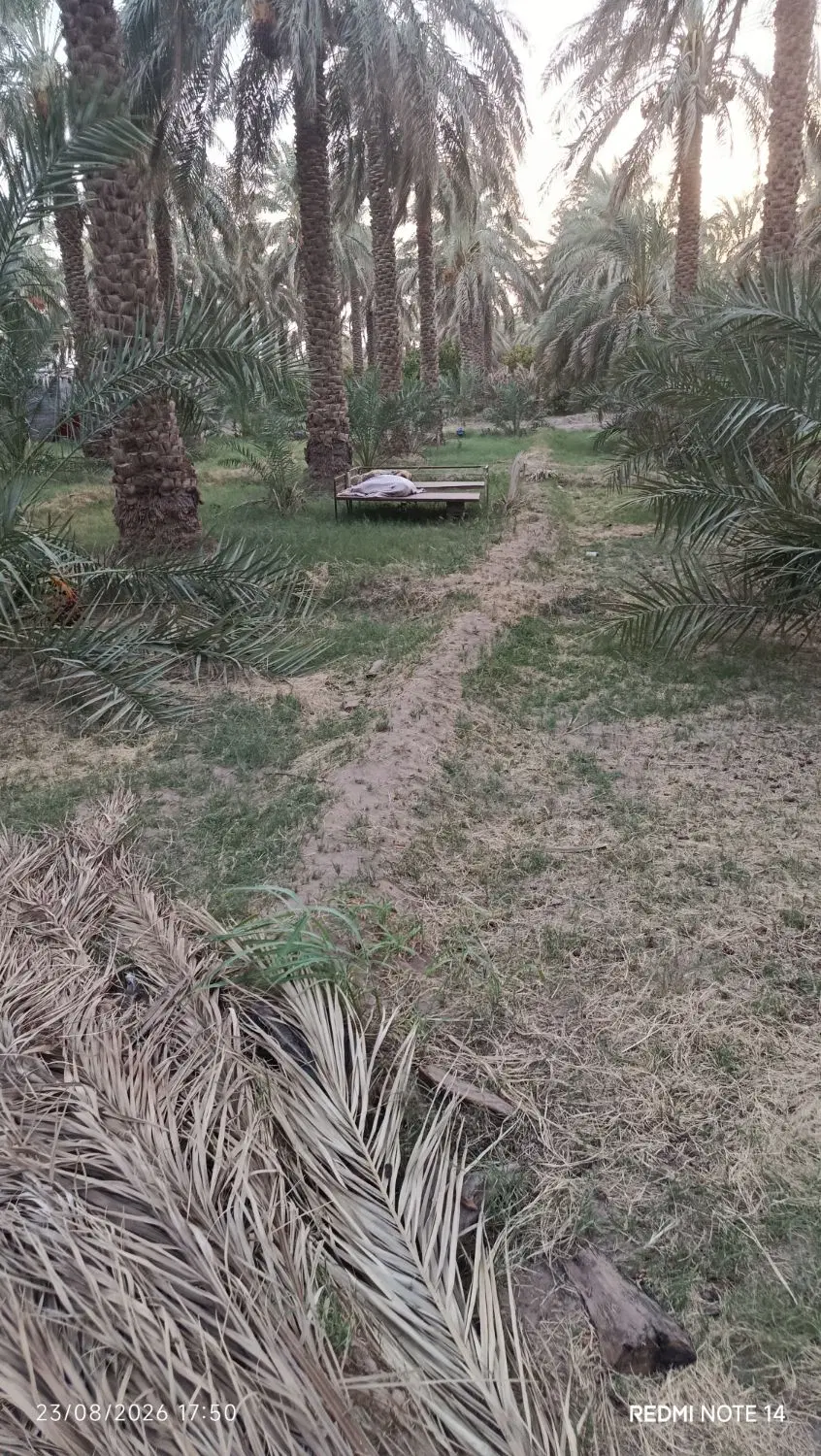معاوضه باغ با ویلا کرمان