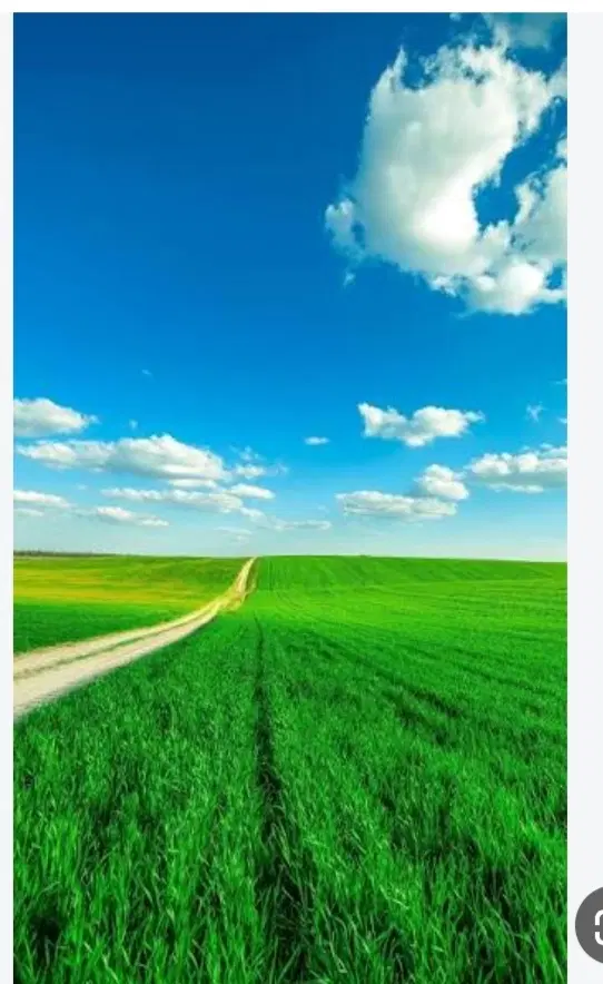 فروش زمین