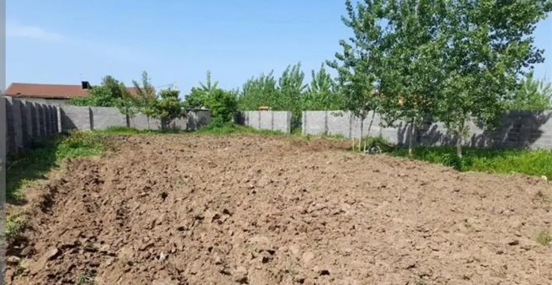 زمین مسکونی سنگر دیوار کشی شده