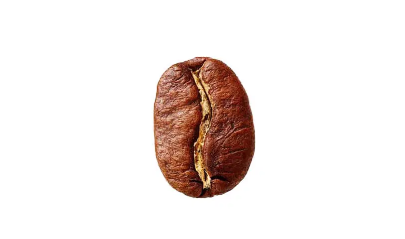 واگذاری کافه