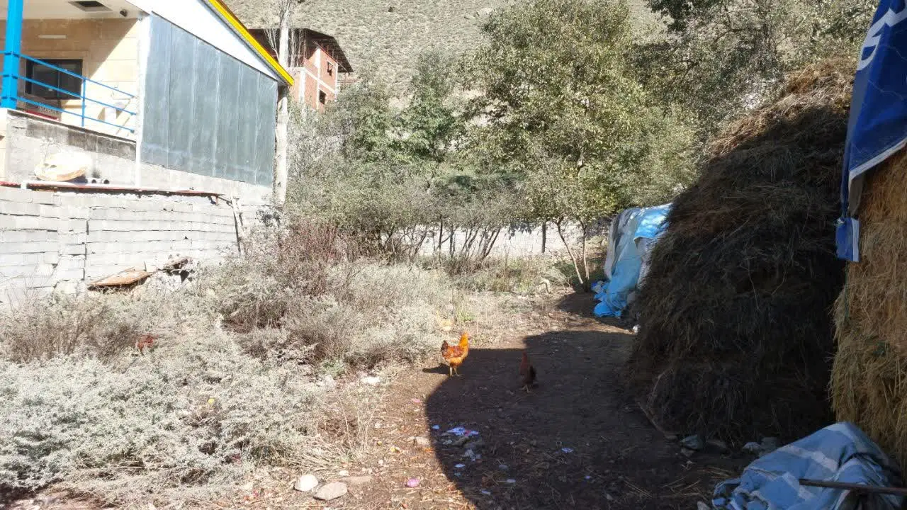 باغچه سرور در نمارستاق