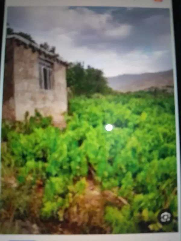 فروش زمین و آب زاکین