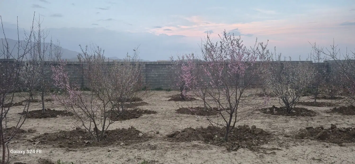 زمین شهرک یکتا