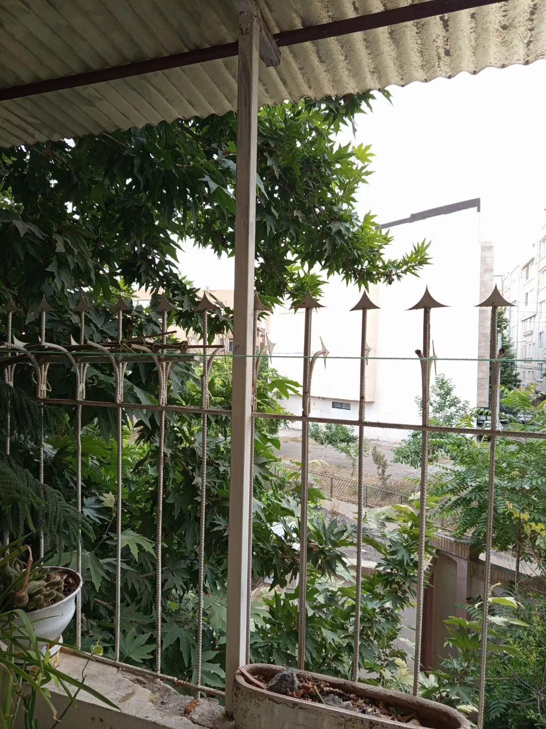 واحد آپارتمان صارمی