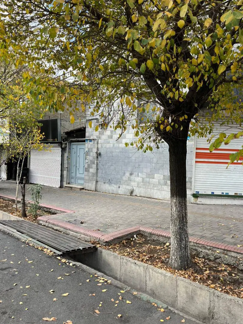 ملک کلنگی و تجاری آزادگان جنوبی
