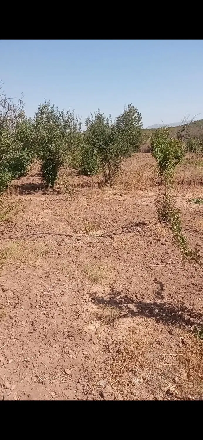 باغ باغچه فدک