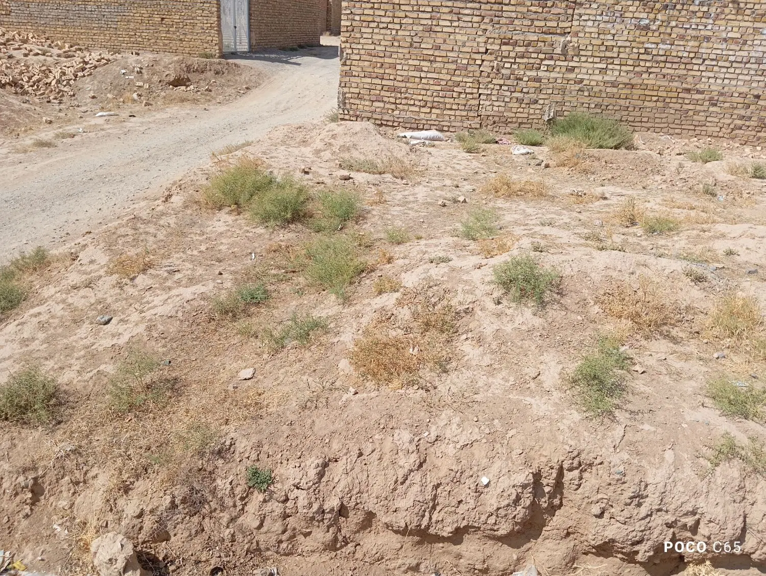 زمین در حاجی یار