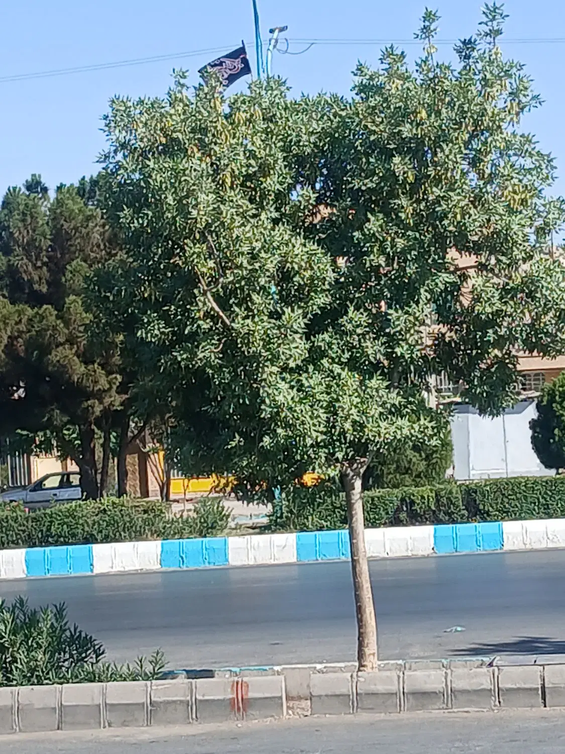 تجاری مسکونی دستغیب ۲۸