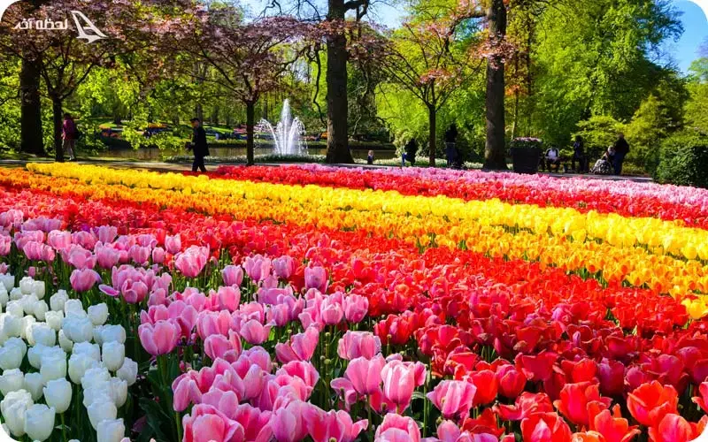 باغ کهمره سرخی مجتمع بلوط