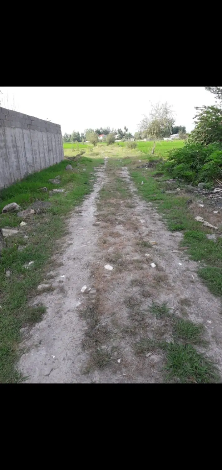 ۱۵۰۰ تا ۲۰۰۰ متر فروشی،جاده زمین ۸ متری