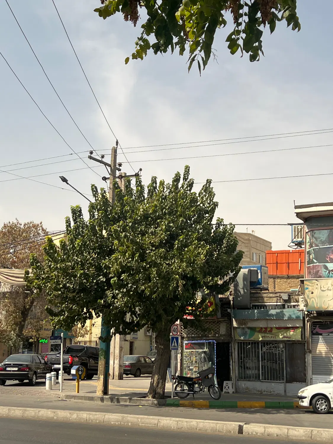 رهن اجاره مغازه ۴۰متری
