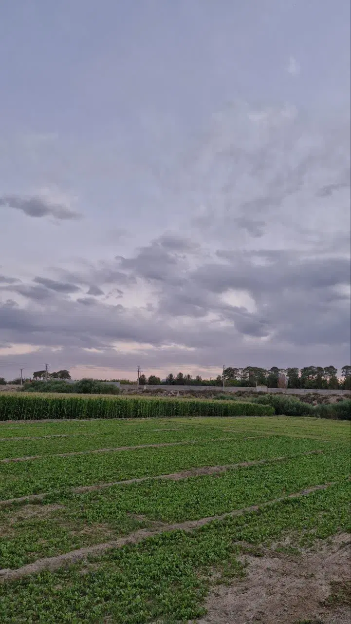فروش زمین باغی