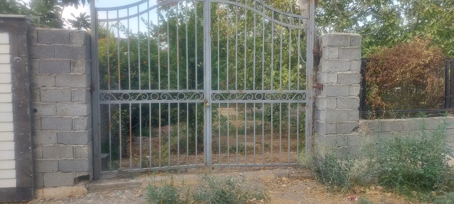باغچه ۵۰۰ متری پر درخت