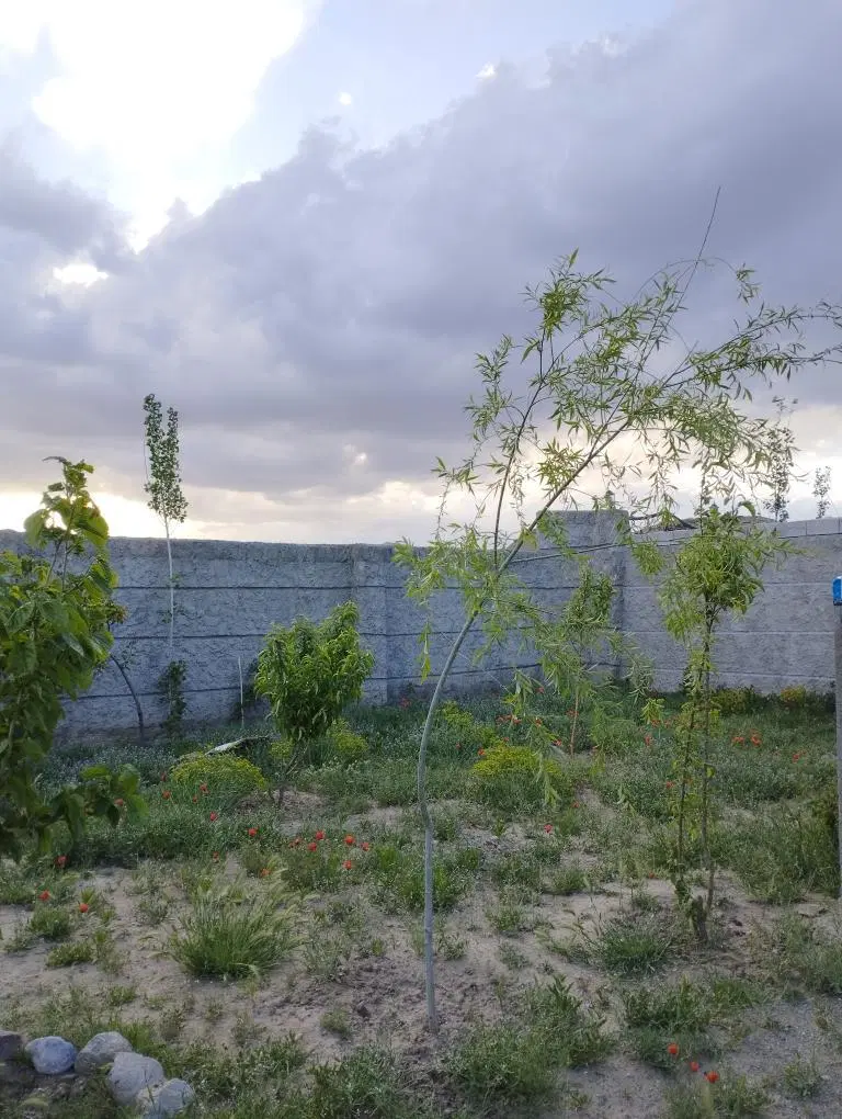 باغ در ورودی روستای گمند