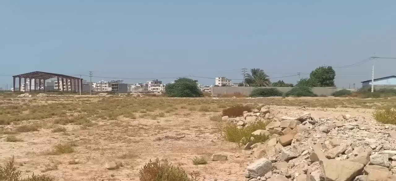 زمین