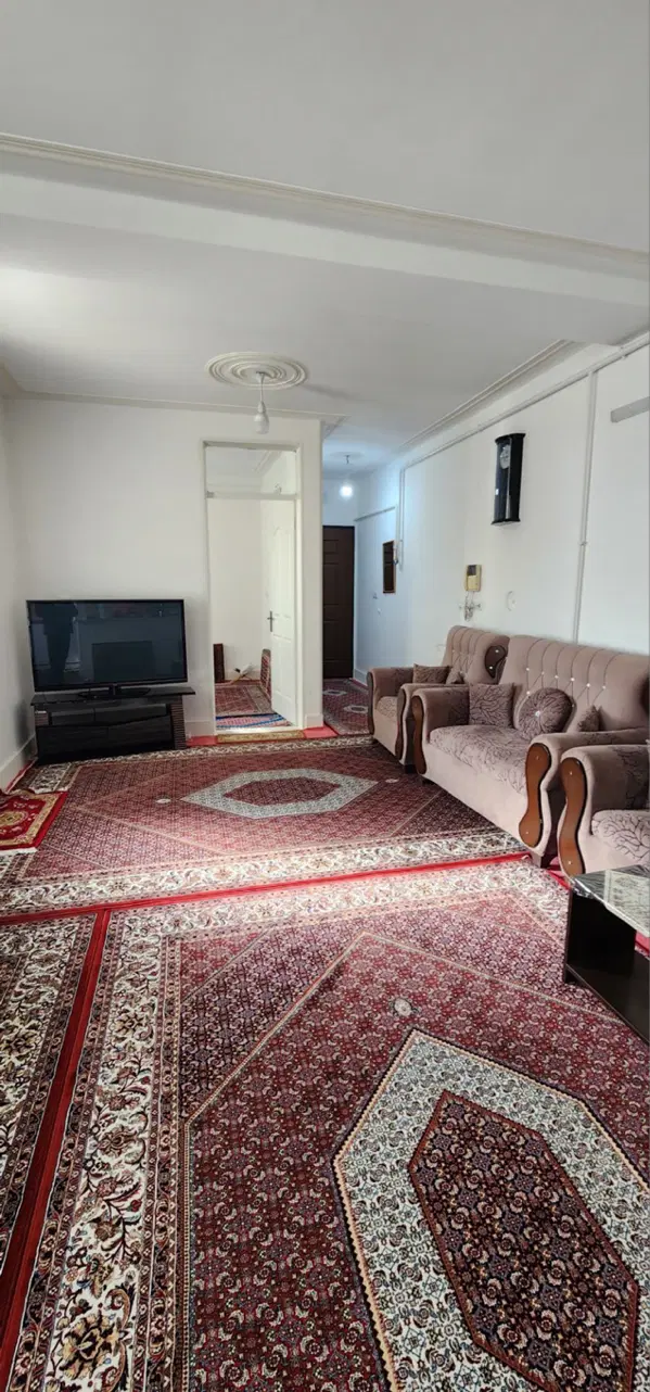 واحد دروازه ارک خان ناظم(جاده همایون)