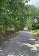 ویلاباغ شمال شهر لنگرود