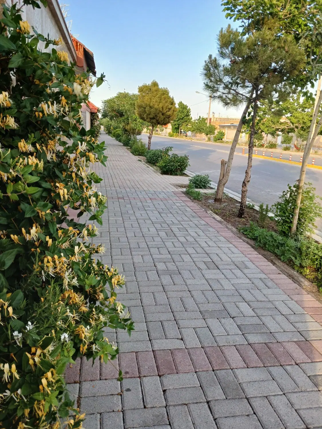 ویلایی۲۱۰متر گلبهارمرکزشهرمنطقه دنج واعیان نشین