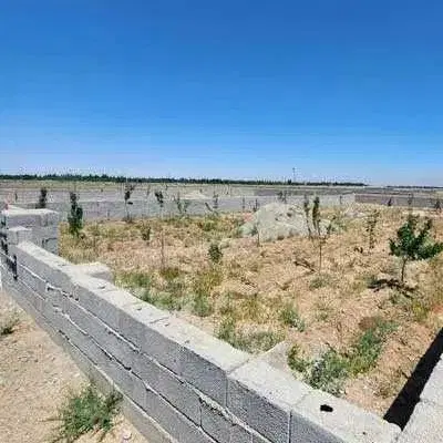 باغچه نقلی در یک ساعتی تهران