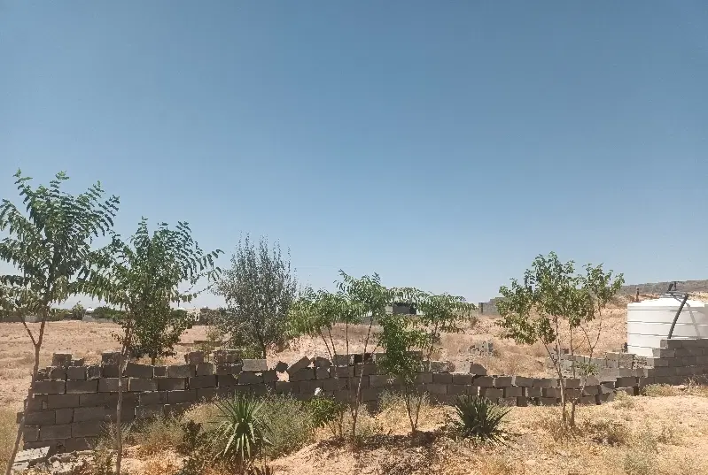 قطعه زمین باغی ۷۵۰ متری جهانکوب