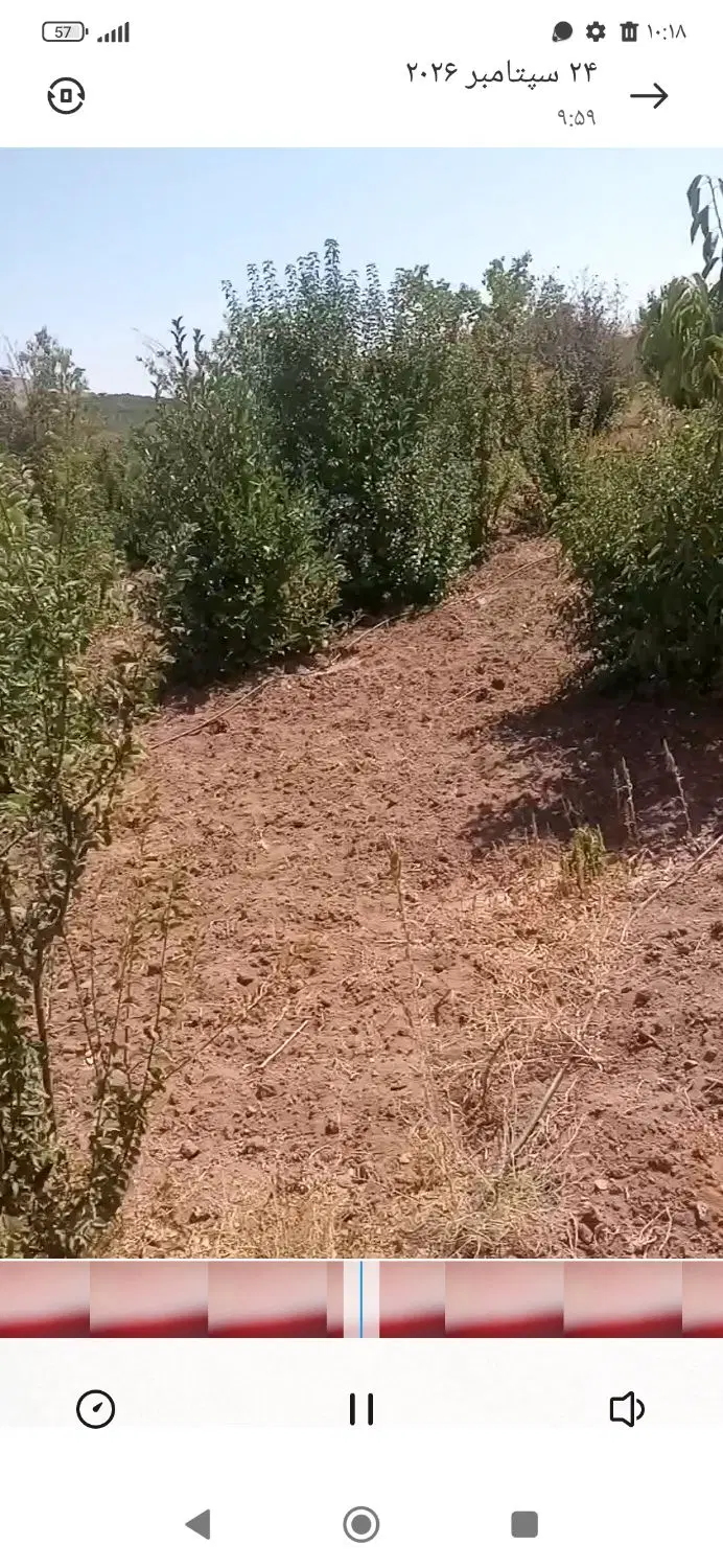 باغ فدک