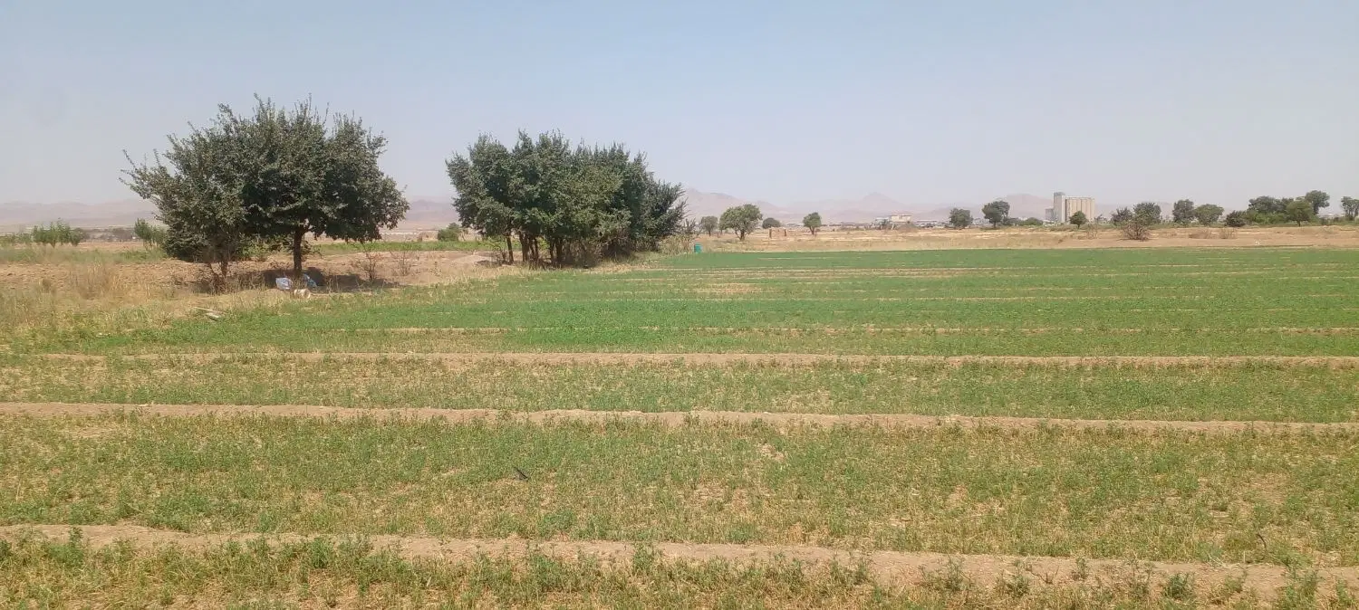 زمین کشاورزی سند دار