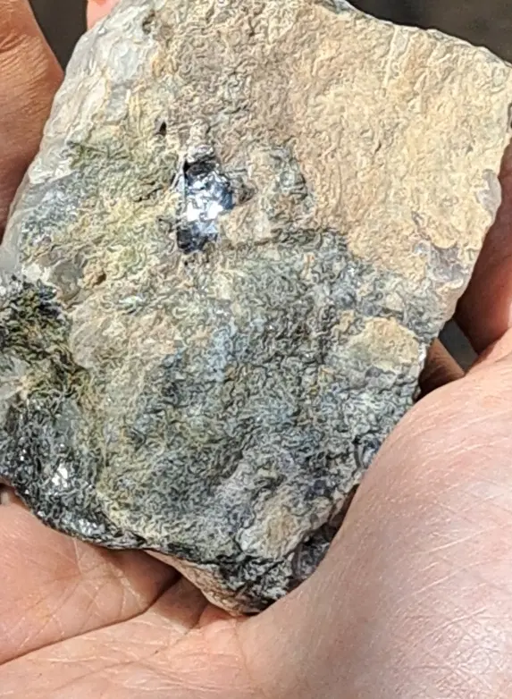 مشارکت در معدن طلا