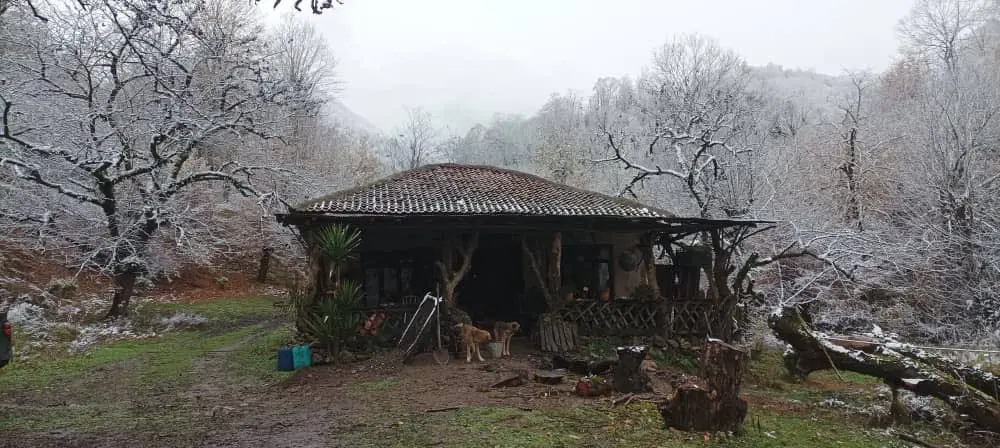 مکانی بکر در دل جنگل برای کمپر ها و لیدر ها(۳کلبه)