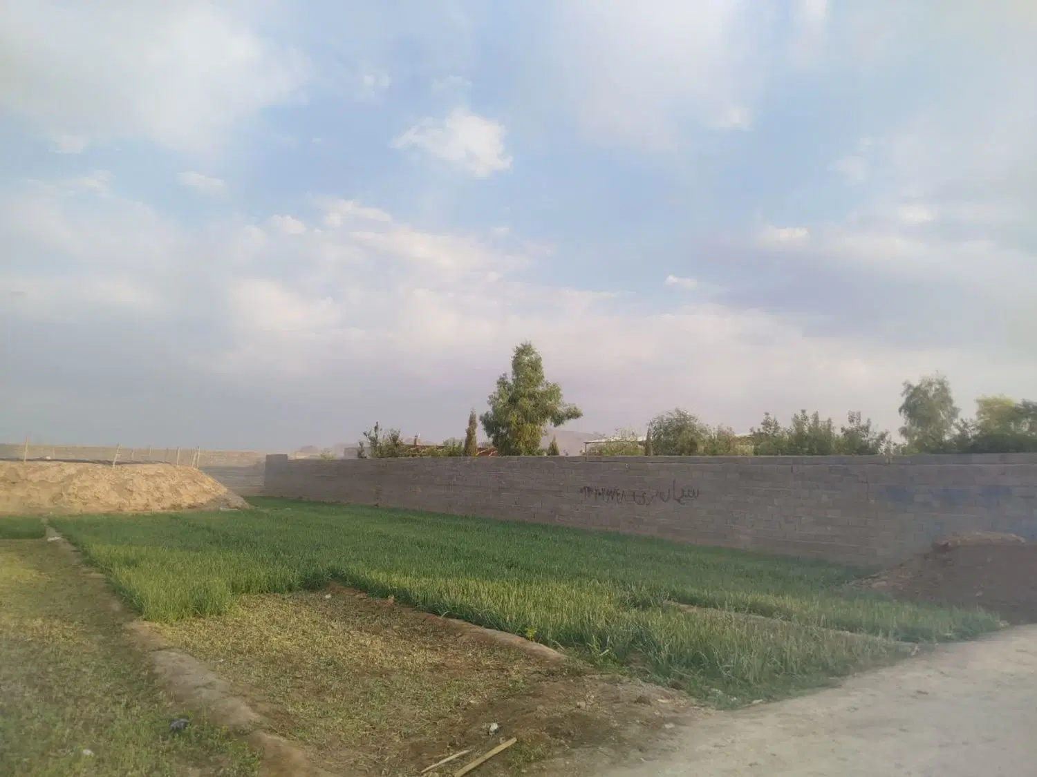 فروش زمین باغی