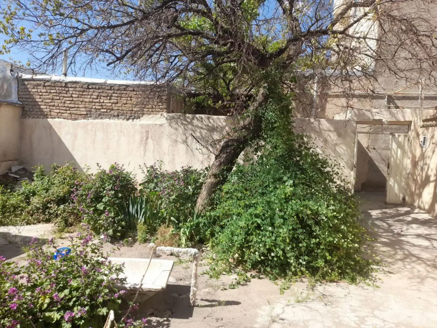 فروش یک واحد ویلایی در صدر جهان