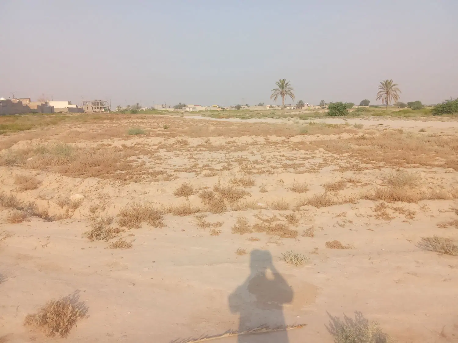 فروش زمین
