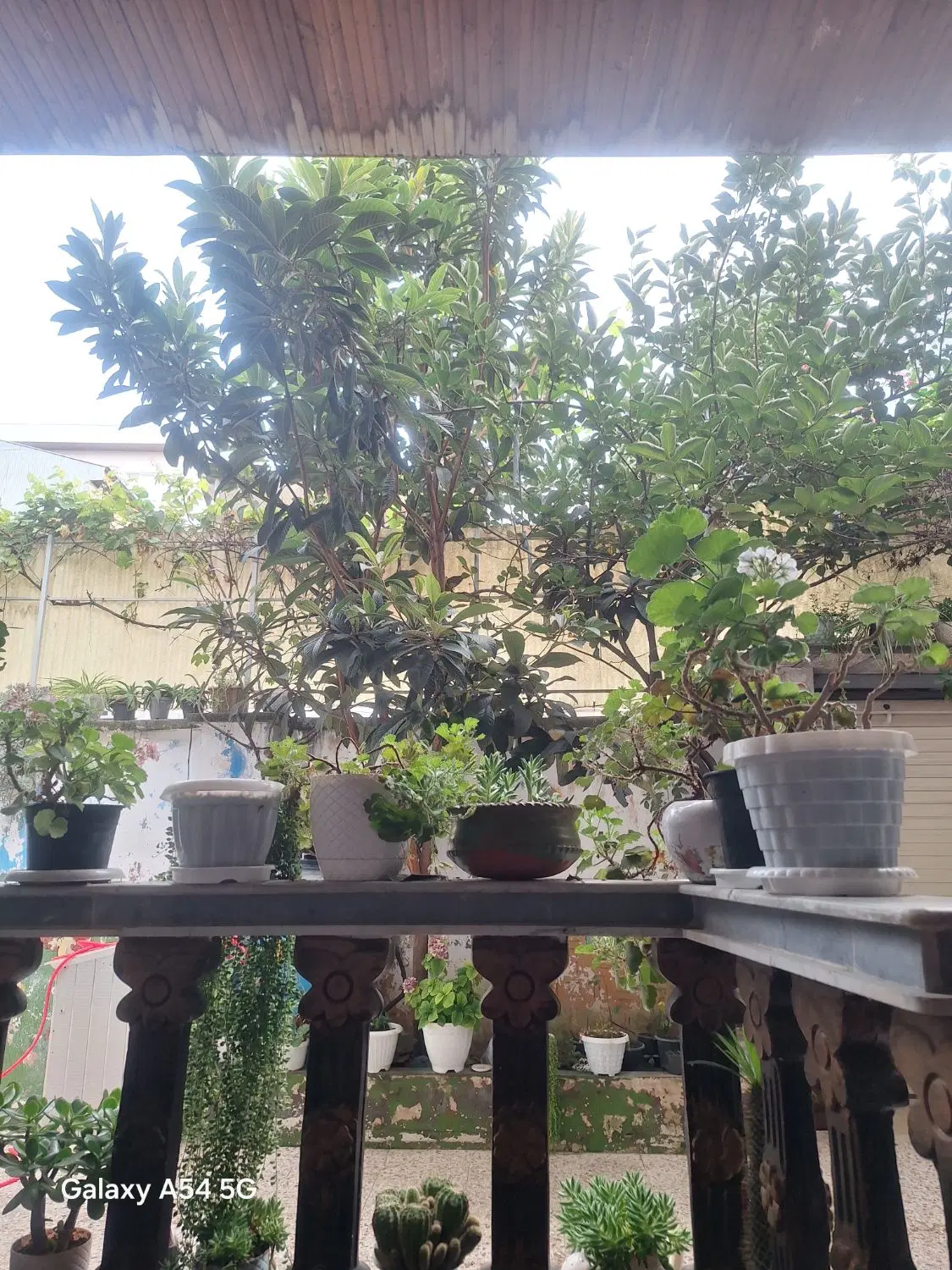 خانه ویلای