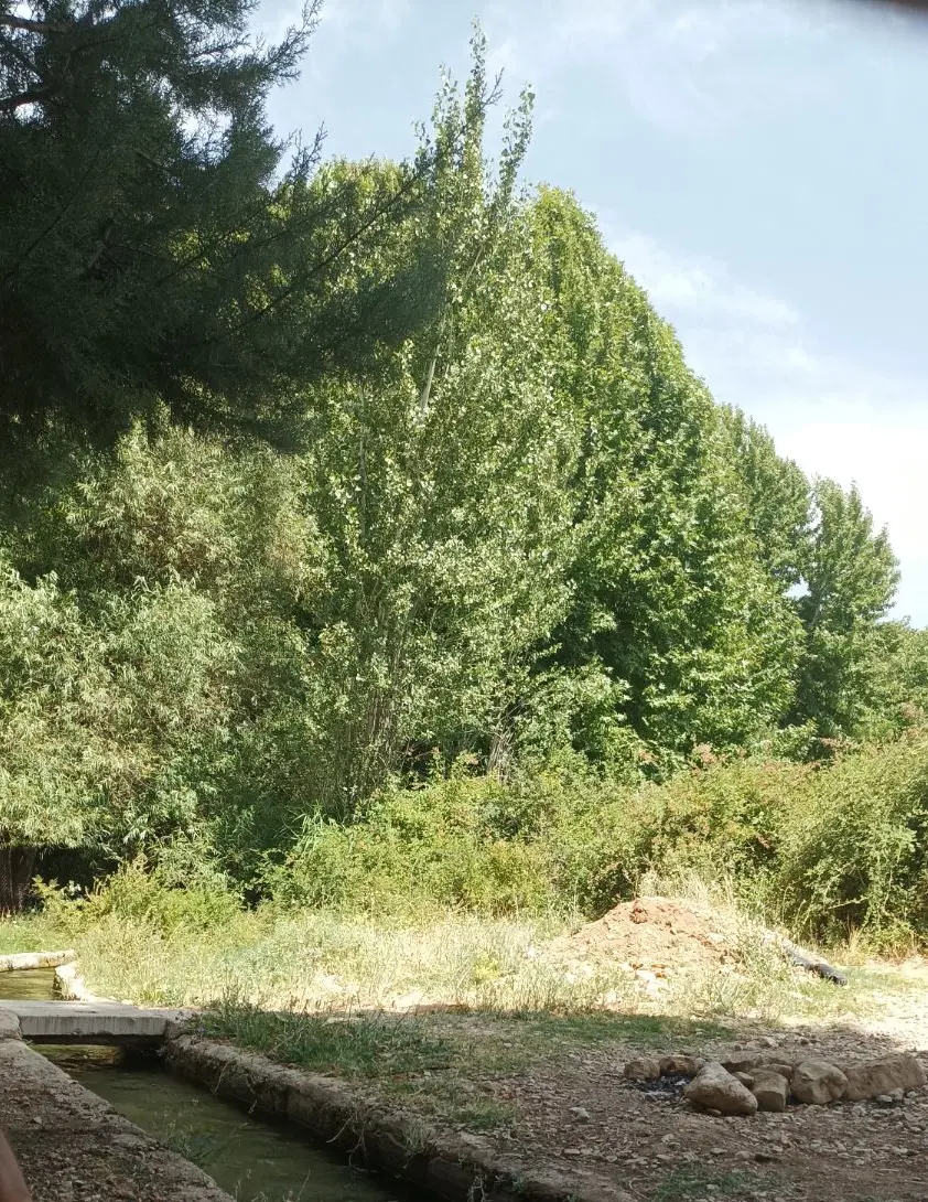 خونه کلنگی