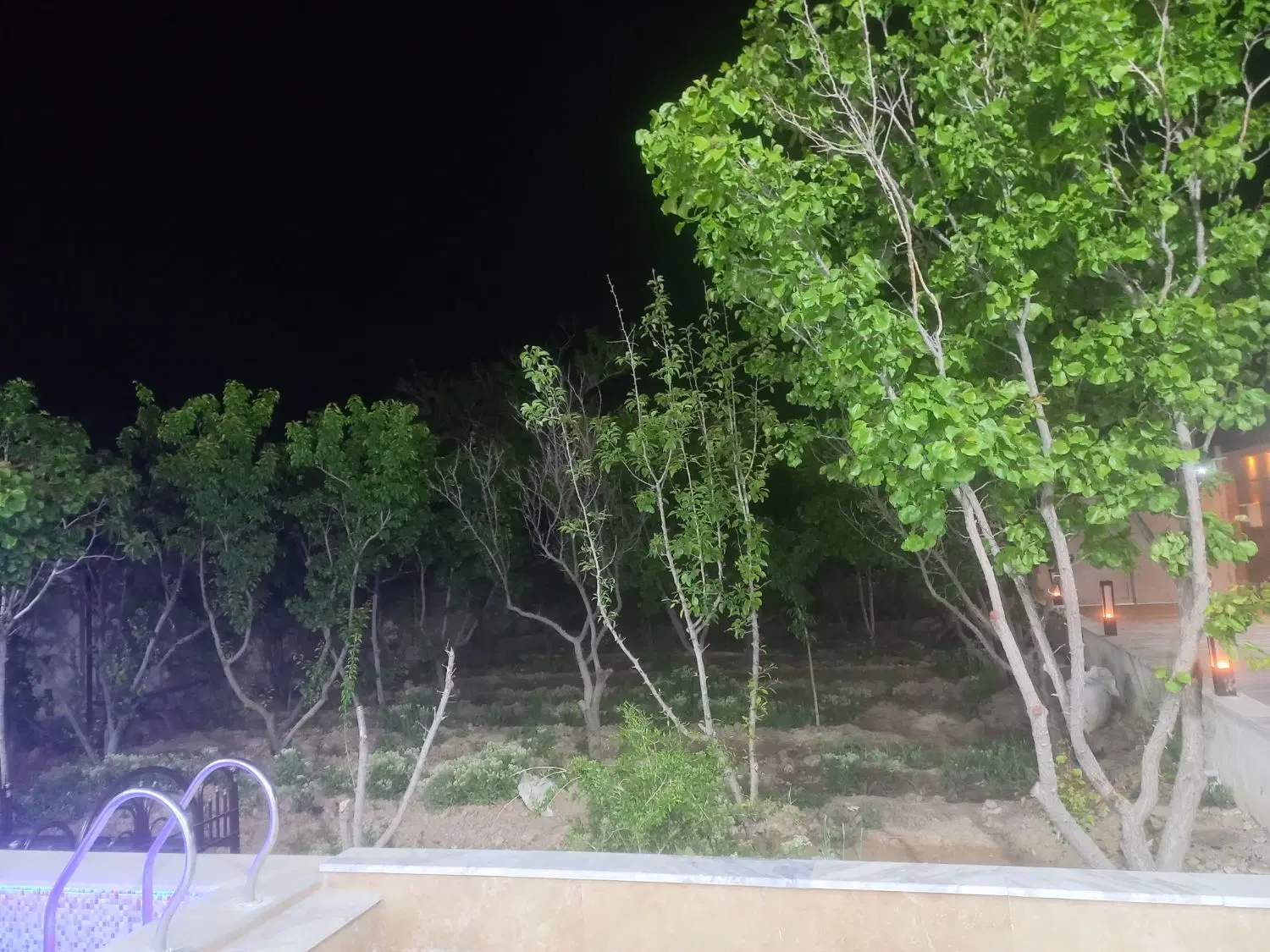زمین مسکونی شمالی