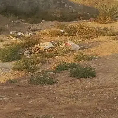 زمین مسکونی
