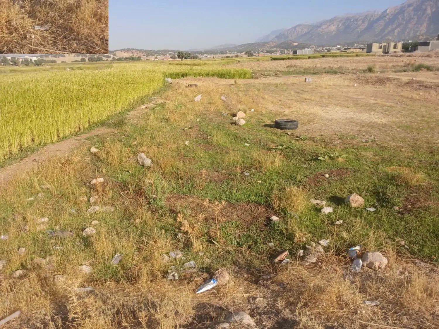زمین مسکونی