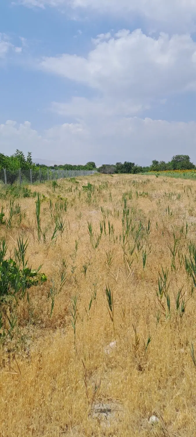 زمین شورکند روستای چیچکلو حاجی لو