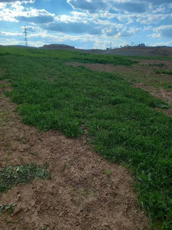 زمین ۲۰۰متری کهریز خیابان عشایر