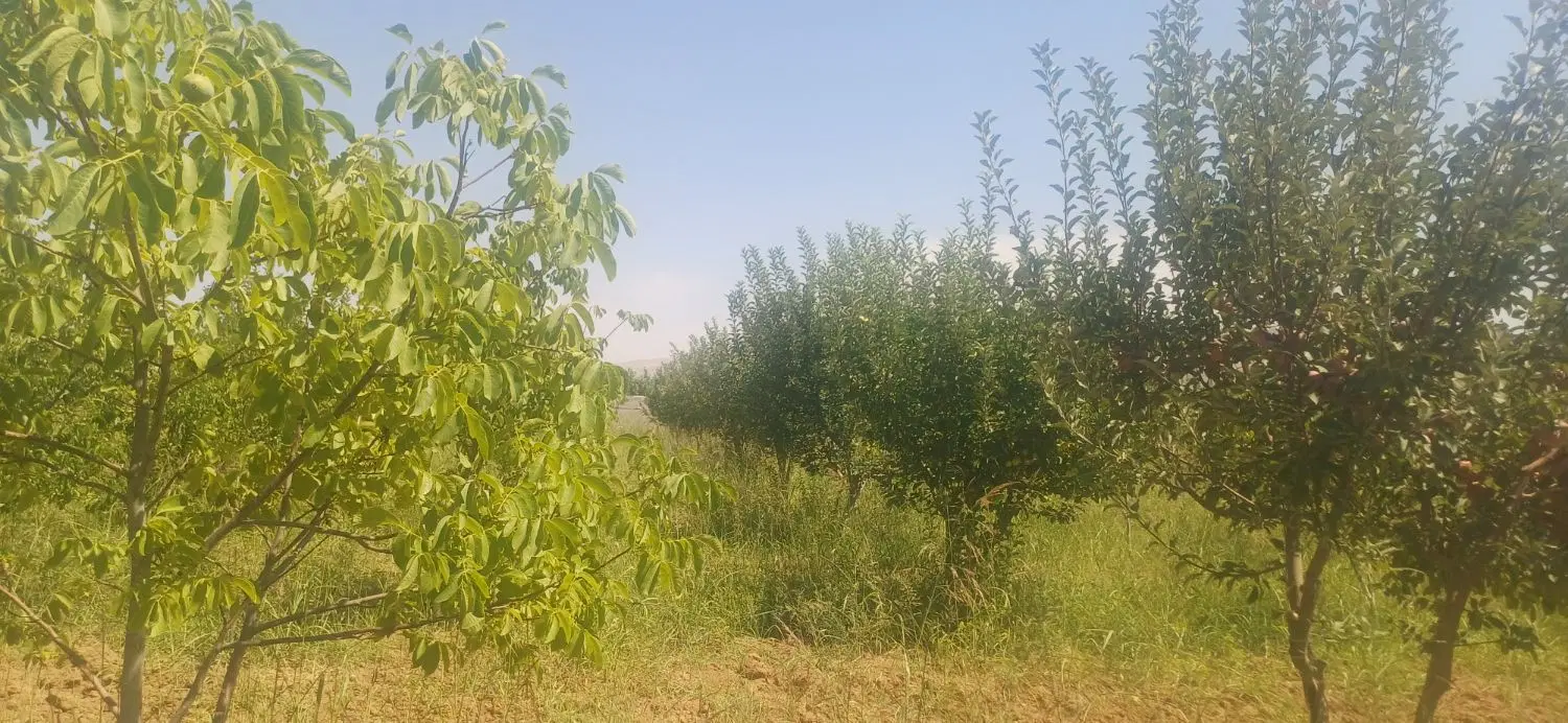 فروش باغ هماشهر