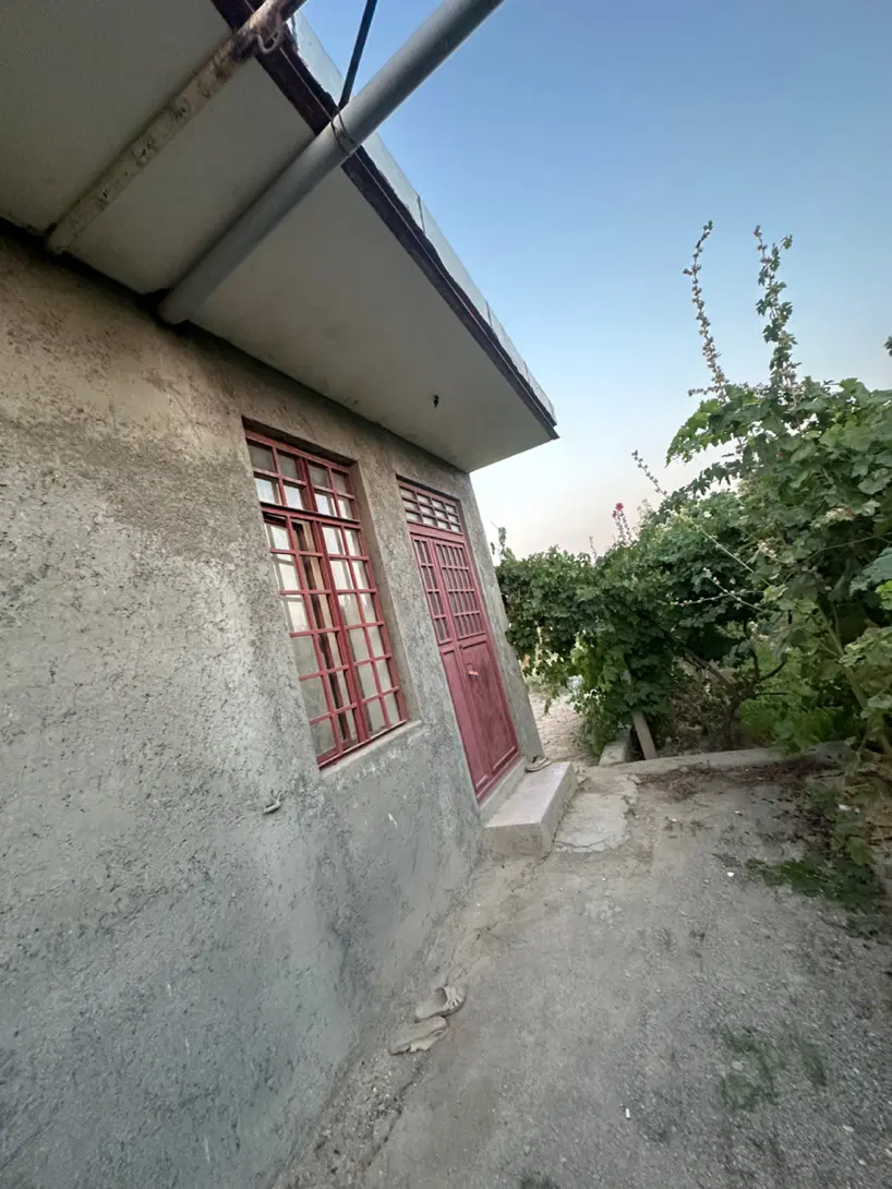 باغچه وخانه باغ۶۰متر بادرختان الوان بارده وامکانات