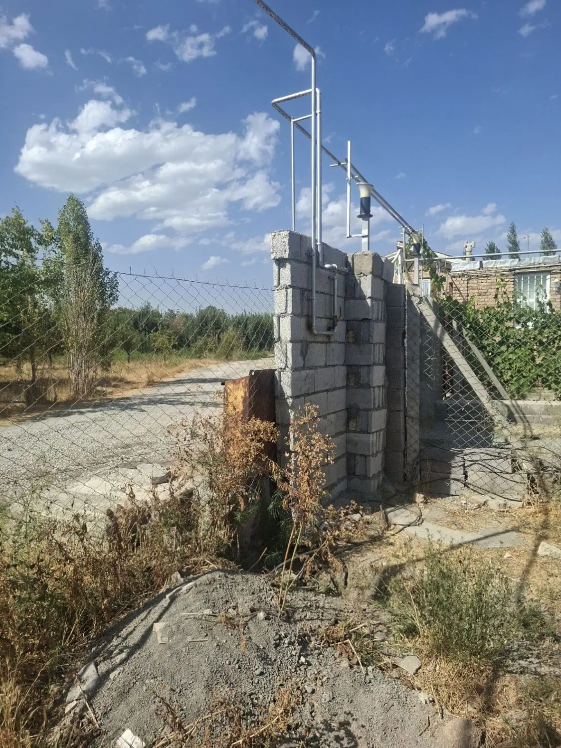 باغ سیب