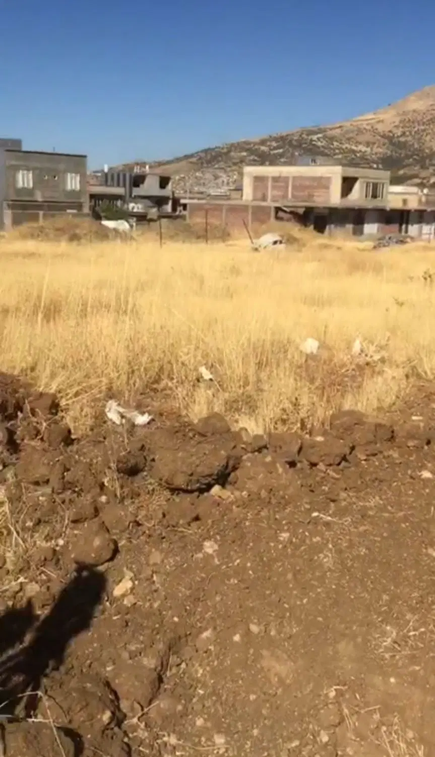 حضور دوستان سلام وعرض ادب