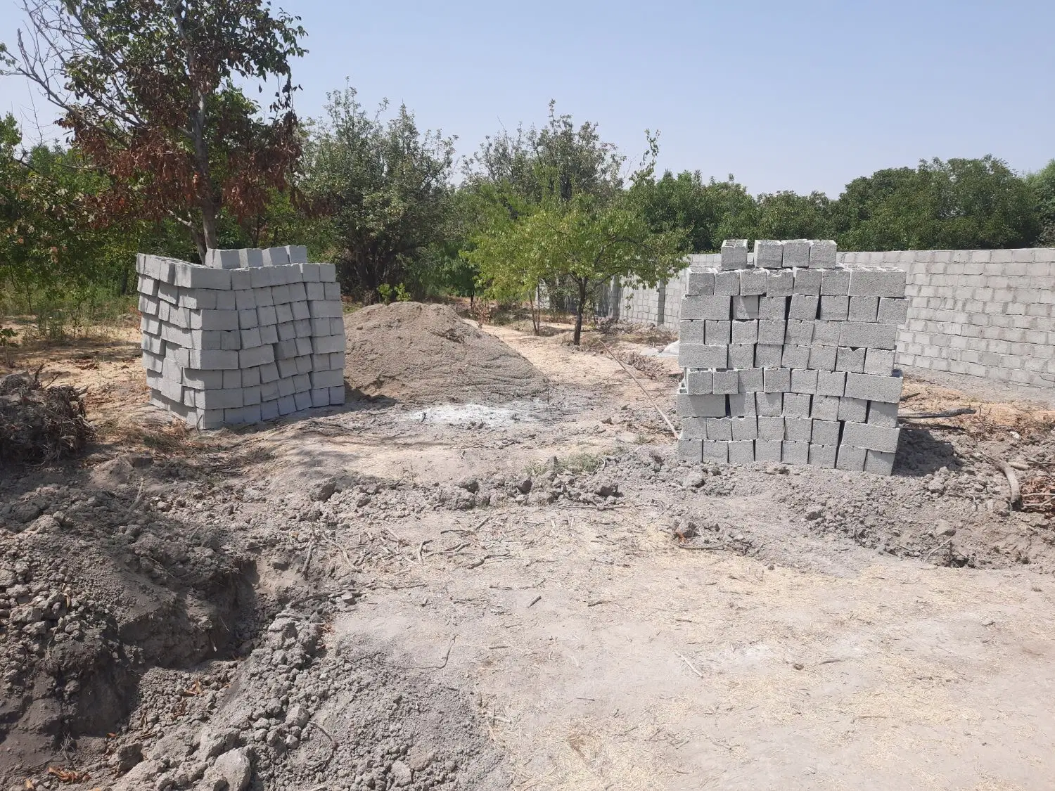 فروش باغ